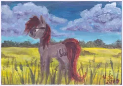 Size: 4889x3425 | Tagged: safe, artist:elisdoominika, derpibooru import, oc, oc:fahu, earth pony, pony, acrylic painting, cloud, cloudy, colt, field, glasses, grass, male, painting, scenery, sky, smiling, solo, traditional art