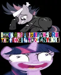 Size: 511x635 | Tagged: semi-grimdark, artist:thedizzydan, derpibooru import, twilight sparkle, twilight sparkle (alicorn), alicorn, pony, caption, collage, expand dong, exploitable meme, future twilight, image macro, meme, nine inch nails, original content, shitposting, shrunken pupils, song reference, text, twilight snapple, vulgar