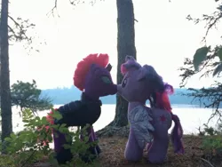 Size: 3264x2448 | Tagged: safe, artist:ejlightning007arts, derpibooru import, tempest shadow, twilight sparkle, twilight sparkle (alicorn), alicorn, pony, armor, broken horn, build-a-bear, female, forest, horn, kissing, lake, lesbian, photo, plushie, shipping, tempestlight, tree