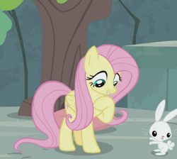 Size: 1100x985 | Tagged: safe, derpibooru import, screencap, angel bunny, fluttershy, pegasus, pony, rabbit, she talks to angel, animal, animated, cropped, cute, duo, female, gif, happy, horses doing horse things, jumping, male, mare, shyabetes