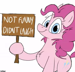 Size: 1125x1086 | Tagged: safe, artist:kdbrony, derpibooru import, pinkie pie, earth pony, pony, female, looking at you, mare, meme, reaction image, sign, simple background, smiling, solo