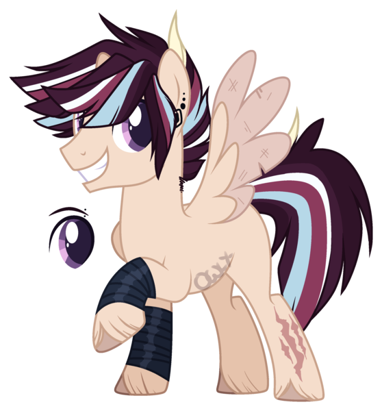 Size: 2481x2668 | Tagged: safe, artist:owl-clockwork, derpibooru import, oc, oc:tiger comet, pegasus, pony, male, offspring, parent:flash sentry, parent:twilight sparkle, parents:flashlight, reference sheet, simple background, solo, stallion, transparent background