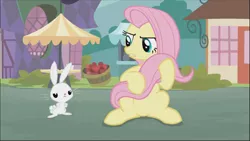 Size: 1279x720 | Tagged: safe, derpibooru import, screencap, angel bunny, fluttershy, pegasus, pony, rabbit, she talks to angel, angry, animal, annoyed, body swap, cropped, cute, duo, female, glare, holding tail, looking at each other, madorable, male, mare, shyabetes, sitting