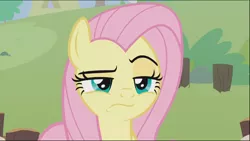 Size: 1278x721 | Tagged: safe, derpibooru import, screencap, angel bunny, fluttershy, pegasus, pony, she talks to angel, angel is not amused, body swap, close-up, cropped, female, frown, lidded eyes, male and female, mare, raised eyebrow, solo