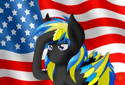 Size: 2300x1559 | Tagged: safe, artist:midnightfire1222, derpibooru import, oc, oc:arc flash, pegasus, pony, american flag, commission, flag background, patriotic, proud, salute, solo