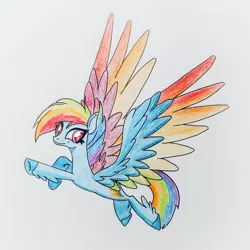 Size: 3024x3024 | Tagged: safe, artist:orin331, artist:twilytwilytwinkletwily, derpibooru import, rainbow dash, pegasus, pony, leak, spoiler:g5, colored pencil drawing, colored wings, female, flying, g5, mare, multicolored wings, rainbow dash (g5), rainbow wings, solo, spread wings, trace, traditional art, wings