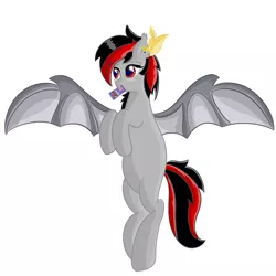 Size: 3000x3000 | Tagged: safe, artist:rain wing, derpibooru import, oc, oc:dark lightning, unofficial characters only, bat pony, fly, insect, bat pony oc, bat wings, chocolate, commission, eat, food, wings