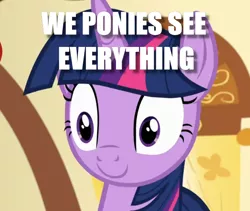 Size: 698x589 | Tagged: a flurry of emotions, alicorn, blank stare, caption, cropped, derpibooru import, edit, edited screencap, image macro, reference, safe, screencap, she knows, solo, text, toy story, twilight sparkle, twilight sparkle (alicorn), we toys can see everything