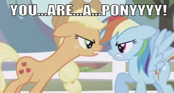 Size: 640x344 | Tagged: safe, derpibooru import, edit, edited screencap, editor:undeadponysoldier, screencap, applejack, rainbow dash, earth pony, pegasus, pony, the ticket master, angry, captain obvious, caption, cutie mark, female, fence, image macro, looking at each other, mare, meme, reference, shaped like itself, text, toy story, yelling, you are a toy