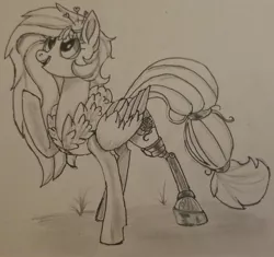 Size: 2007x1887 | Tagged: safe, artist:brainiac, derpibooru import, kerfuffle, pegasus, pony, rainbow roadtrip, amputee, black and white, female, grayscale, mare, monochrome, pencil drawing, prosthetic leg, prosthetic limb, prosthetics, raised hoof, sketch, solo, traditional art