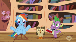 Size: 615x340 | Tagged: safe, derpibooru import, screencap, owlowiscious, rainbow dash, spike, bird, dragon, owl, pegasus, pony, testing testing 1-2-3, animated, book, bookshelf, cute, dancing, drums, drumsticks, female, flower, golden oaks library, happy, hopping, hub logo, i have done nothing productive all day, male, mare, musical instrument, perfect loop, stool