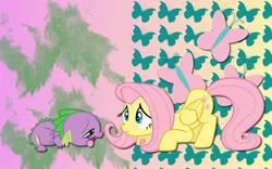 Size: 900x563 | Tagged: safe, artist:alicehumansacrifice0, derpibooru import, fluttershy, spike, butterfly, dragon, pegasus, pony, concerned, cutie mark, female, flutterspike, looking at each other, male, mare, shipping, sick, straight, wallpaper