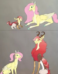Size: 1911x2449 | Tagged: safe, artist:nightshade2004, derpibooru import, fluttershy, oc, oc:lisianthus, draconequus, hybrid, pony, cloven hooves, colored hooves, female, interspecies offspring, male, mother and child, mother and son, offspring, older, parent:discord, parent:fluttershy, parents:discoshy, prone, two toned wings, wings