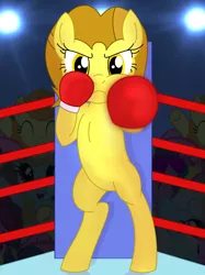 Size: 1982x2643 | Tagged: safe, artist:toyminator900, derpibooru import, oc, oc:golden star, unofficial characters only, earth pony, pony, bipedal, boxing, boxing gloves, boxing ring, crowd, female, solo, sports