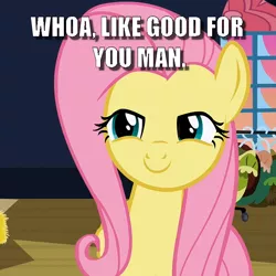 Size: 700x700 | Tagged: caption, derpibooru import, flutterhigh, fluttershy, high, image macro, safe, text