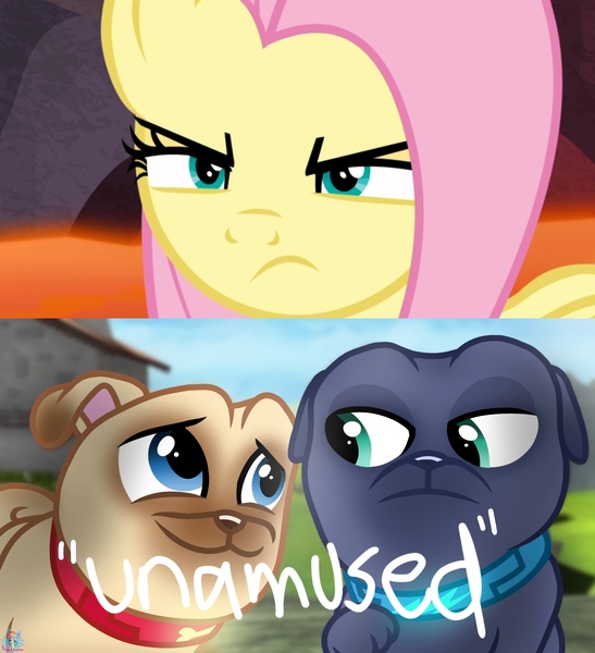 Size: 1945x2133 | Tagged: safe, artist:rainbow eevee, derpibooru import, edit, edited screencap, screencap, fluttershy, dog, pony, sweet and smoky, 1000 hours in ms paint, angry, badass, bingo (puppy dog pals), close-up, collar, cropped, determined, dialogue, flutterbadass, fluttershy is not amused, narrowed eyes, puppy, puppy dog pals, quotation marks, rolly, text, unamused, wat