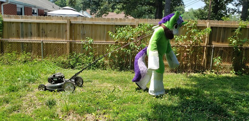 Size: 4032x1960 | Tagged: safe, derpibooru import, oc, oc:crescent star, unofficial characters only, crystal pony, pony, unicorn, backyard, bed, crystal unicorn, floppy pony, fursuit, irl, lawn mower, mowing, photo, ponysuit, pose, pulling, solo, working, yoke