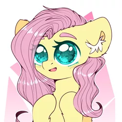 Size: 2000x2000 | Tagged: safe, artist:etoz, derpibooru import, fluttershy, pony, abstract background, blushing, bust, colored pupils, cute, ear fluff, eye clipping through hair, eyebrows visible through hair, female, leg fluff, mare, open mouth, shyabetes, solo