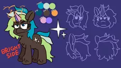 Size: 1920x1080 | Tagged: safe, artist:threetwotwo32232, derpibooru import, oc, oc:bright side, earth pony, pony, artifical horn, reference sheet, solo