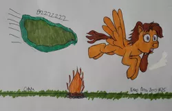 Size: 1710x1109 | Tagged: safe, artist:rapidsnap, derpibooru import, oc, oc:jamjar, unofficial characters only, insect, pony, atg 2019, campfire, newbie artist training grounds, swarm, traditional art