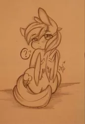 Size: 1280x1863 | Tagged: safe, artist:salty-irish-potato, derpibooru import, rainbow dash, pegasus, pony, female, looking at you, looking back, looking back at you, mare, monochrome, question mark, sitting, solo, traditional art