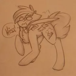 Size: 1280x1273 | Tagged: safe, artist:salty-irish-potato, derpibooru import, rainbow dash, pegasus, pony, behaving like a cat, chest fluff, female, hissing, mare, monochrome, open mouth, solo, spread wings, traditional art, wings