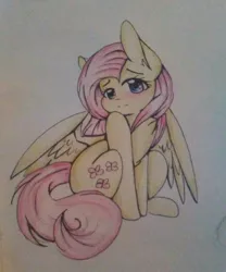 Size: 1280x1535 | Tagged: safe, artist:salty-irish-potato, derpibooru import, fluttershy, pegasus, pony, blushing, cute, female, looking at you, mare, shyabetes, sitting, solo, spread wings, traditional art, wings