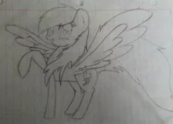 Size: 1280x920 | Tagged: safe, artist:salty-irish-potato, derpibooru import, rainbow dash, pegasus, pony, female, grin, lined paper, mare, monochrome, raised hoof, smiling, solo, spread wings, traditional art, wings