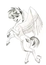 Size: 1000x1395 | Tagged: safe, artist:baron engel, derpibooru import, oc, oc:apogee, pegasus, pony, colored hooves, female, filly, grayscale, mare, monochrome, pencil drawing, simple background, sketch, solo, traditional art, white background