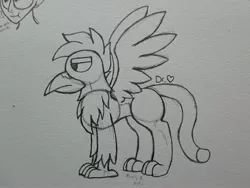 Size: 2576x1932 | Tagged: safe, artist:drheartdoodles, derpibooru import, oc, oc:helios, unofficial characters only, gryphon, borb, chest fluff, solo, spread wings, traditional art, wings