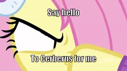Size: 710x399 | Tagged: safe, derpibooru import, edit, edited screencap, editor:minezombie27, screencap, fluttershy, pony, best gift ever, angry, badass, death stare, flutterbadass, imminent death, mane, meme, omae wa mou shindeiru, rage, solo, this will end in death, white eyes, you are already dead