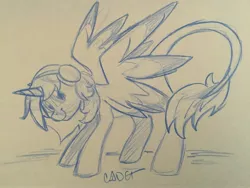 Size: 3264x2448 | Tagged: safe, artist:cadetredshirt, derpibooru import, oc, oc:amicus, alicorn, pony, alicorn oc, headphones, heterochromia, horn, leonine tail, looking at you, sketch, solo, traditional art, two toned mane, two toned wings, wings