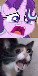 Size: 326x652 | Tagged: safe, derpibooru import, edit, edited screencap, screencap, starlight glimmer, cat, pony, unicorn, a horse shoe-in, cropped, crying cat, meme, open mouth, phyllis no!, same energy, uvula