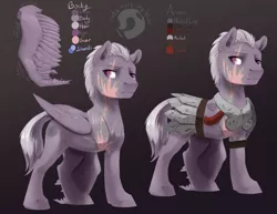 Size: 3300x2550 | Tagged: safe, artist:silfoe, derpibooru import, oc, unofficial characters only, pegasus, pony, amputee, armor, commission, eye scar, gradient background, reference sheet, scar