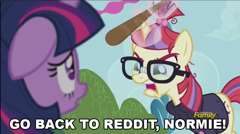 Size: 856x479 | Tagged: alicorn, amending fences, angry, caption, derpibooru import, discovery family logo, edit, edited screencap, glowing horn, horn, image macro, magic, meme, moondancer, normies, reaction image, reddit, safe, screencap, stick, telekinesis, text, twilight sparkle, twilight sparkle (alicorn)