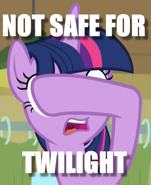 Size: 878x1080 | Tagged: alicorn, caption, covering eyes, cropped, derpibooru import, image macro, nsfw, safe, screencap, solo, text, the point of no return, twilight sparkle, twilight sparkle (alicorn)