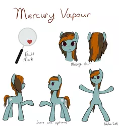 Size: 1275x1351 | Tagged: safe, artist:nobleboron, deleted from derpibooru, derpibooru import, oc, oc:mercury vapour, earth pony, pony, implied self harm, reference sheet, scar