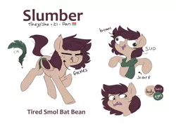 Size: 4290x3040 | Tagged: safe, artist:pucksterv, derpibooru import, oc, oc:slumber tea, unofficial characters only, bat pony, pony, bat pony oc, bat wings, beanbrows, brows, clothes, eyebrows, female, image, jpeg, mare, pride flag, pronouns, reference sheet, scarf, simple background, solo, white background, wings