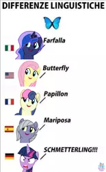 Size: 2106x3391 | Tagged: safe, artist:rainbow eevee, derpibooru import, bon bon, fluttershy, limestone pie, princess luna, sweetie drops, twilight sparkle, twilight sparkle (alicorn), alicorn, butterfly, earth pony, pony, american flag, angry, cute, differenze linguistiche, english, faic, female, foreign language, france, french, german, germany, italian, italy, lunabetes, meme, obligatory pony, ponified meme, rage, rage face, simple background, spain, spanish, twilight is not amused, unamused, united states, wat, white background