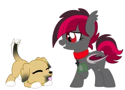 Size: 1515x1083 | Tagged: safe, artist:crystal-tranquility, derpibooru import, oc, oc:raspberry hope, oc:tippy, unofficial characters only, bat pony, dog, pony, choker, female, filly, simple background, transparent background