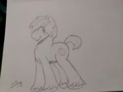 Size: 3264x2448 | Tagged: safe, artist:siggyderp, derpibooru import, braeburn, earth pony, pony, black and white, freckles, grayscale, lineart, male, monochrome, signature, sketch, solo, stallion, traditional art