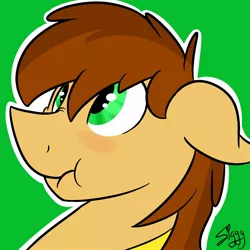 Size: 1280x1280 | Tagged: safe, artist:siggyderp, derpibooru import, oc, unofficial characters only, pony, blushing, commission, icon, male, profile picture, signature, solo, stallion