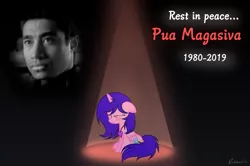 Size: 1371x912 | Tagged: alicorn, artist:rainbow15s, derpibooru import, human, irl, irl human, mourning, oc, photo, power rangers, power rangers ninja storm, pua magasiva, rest in peace, sadness, safe