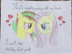 Size: 3264x2448 | Tagged: safe, artist:don2602, derpibooru import, fluttershy, oc, oc:mango island, pegasus, pony, bust, canon x oc, duo, ear piercing, female, heart, hearts and hooves day, looking at each other, piercing, quote, traditional art