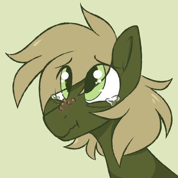 Size: 800x800 | Tagged: safe, artist:crimmharmony, derpibooru import, oc, oc:murky, unofficial characters only, pegasus, pony, fallout equestria, fallout equestria: murky number seven, bust, fanfic art, green background, looking at you, male, portrait, sad, simple background, solo, stallion, teary eyes, wart