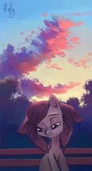 Size: 1868x3448 | Tagged: safe, artist:holivi, derpibooru import, oc, oc:holivi, unofficial characters only, earth pony, pony, cloud, looking down, park bench, sad, signature, solo, sunset