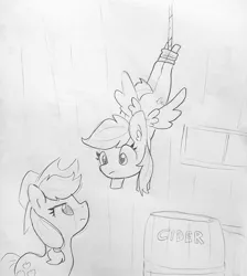 Size: 1260x1408 | Tagged: safe, artist:tjpones, derpibooru import, applejack, rainbow dash, earth pony, pegasus, pony, caught, caught red hooved, cider, cider theft, disappointed, duo, duo female, eye contact, female, hanging, looking at each other, mare, monochrome, rope, rope trap, thief, traditional art, trap (device)