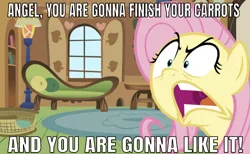 Size: 641x395 | Tagged: artist needed, safe, derpibooru import, edit, editor:undeadponysoldier, fluttershy, pegasus, pony, angry, caption, dying for pie, female, furious, image macro, implied angel bunny, mare, meme, open mouth, solo, spongebob squarepants, text, yelling