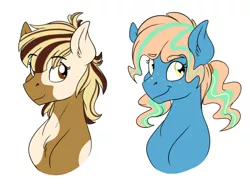 Size: 2048x1536 | Tagged: safe, artist:pastel-charms, derpibooru import, oc, unofficial characters only, pony, bust, female, mare, offspring, parent:featherweight, parent:hoops, parent:pipsqueak, parent:vapor trail, parents:feathersqueak, portrait, simple background, white background