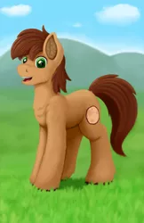 Size: 720x1110 | Tagged: safe, artist:redquoz, derpibooru import, oc, oc:red bark, unofficial characters only, earth pony, pony, chest fluff, ear fluff, field, fluffy, grass, grass field, green eyes, happy, looking at you, male, paintover, paintstorm studio, ponysona, smiling, solo, stallion, teeth, three quarter view
